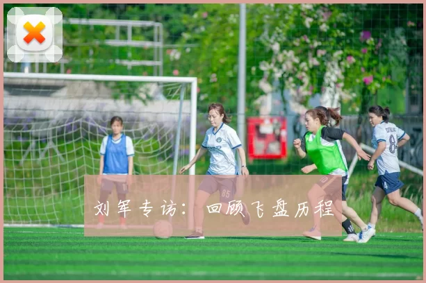 刘军专访：回顾飞盘历程
