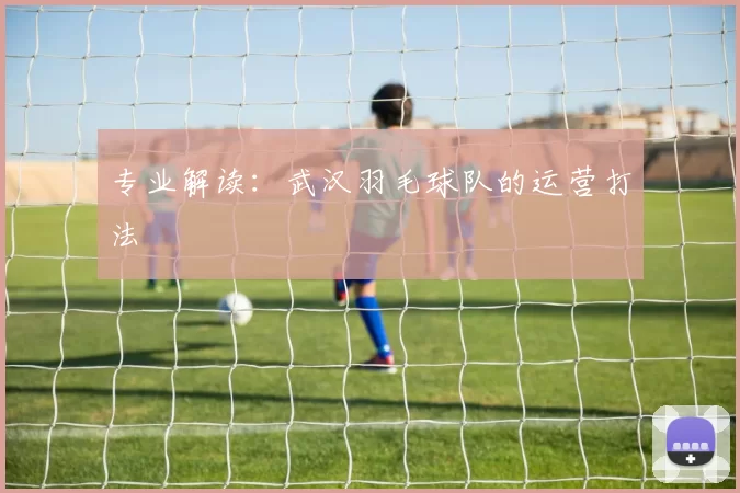 专业解读：武汉羽毛球队的运营打法