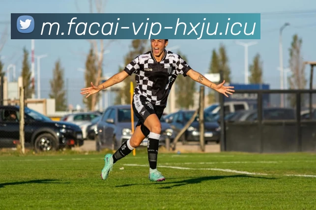 MK体育注册平台生态图